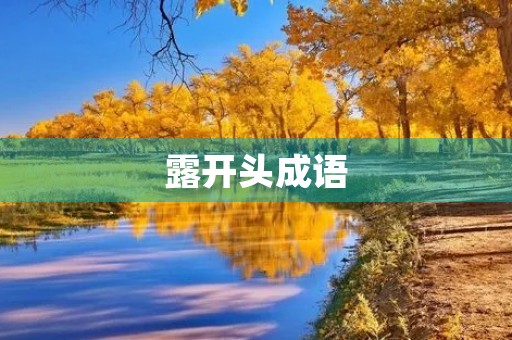 露开头成语 露开头成语