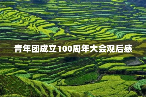 青年团成立100周年大会观后感,团员观看庆祝建党100周年大会心得 青年团成立100周年大会观后感,团员观看庆祝建党100周年大会心得