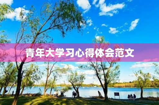 青年大学习心得体会范文