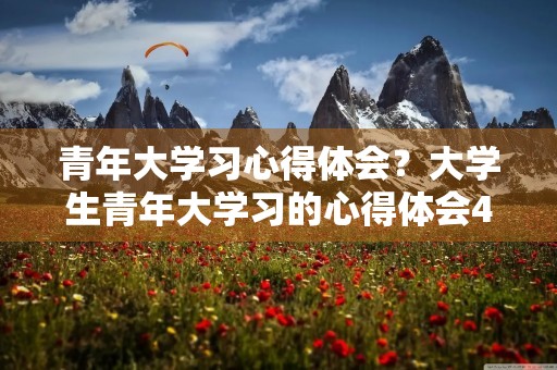 青年大学习心得体会？大学生青年大学习的心得体会4篇