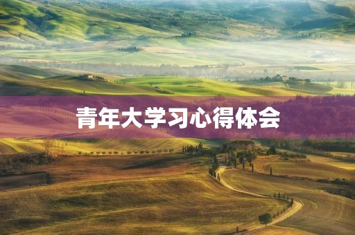 青年大学习心得体会