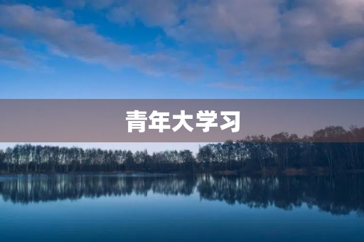 青年大学习,我所得到的心得体会 青年大学习,我所得到的心得体会