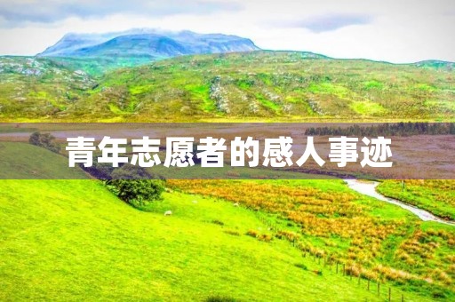 青年志愿者的感人事迹