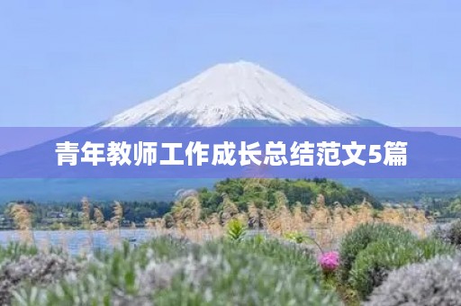 青年教师工作成长总结范文5篇