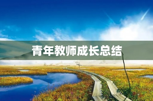 青年教师成长总结