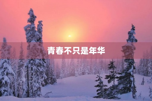 青春不只是年华