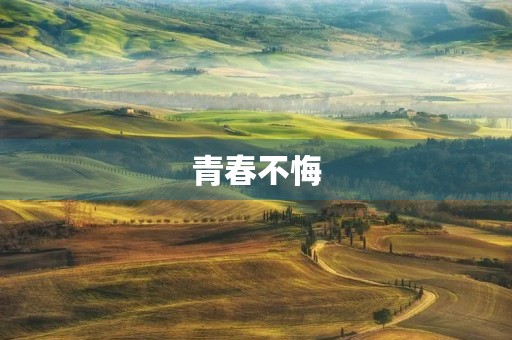 青春不悔 青春不悔