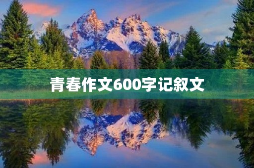 青春作文600字记叙文