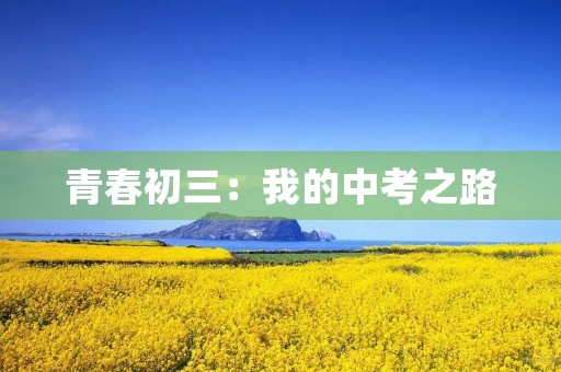 青春初三：我的中考之路