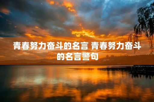 青春努力奋斗的名言 青春努力奋斗的名言警句
