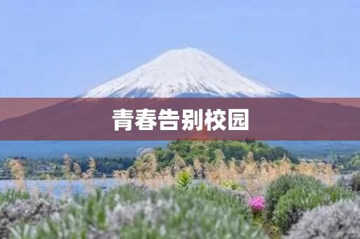 青春告别校园，初三毕业季作文