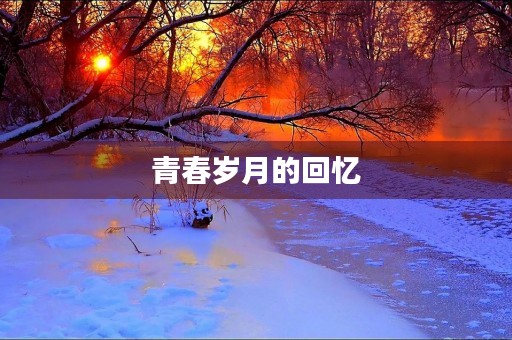青春岁月的回忆 青春岁月的回忆