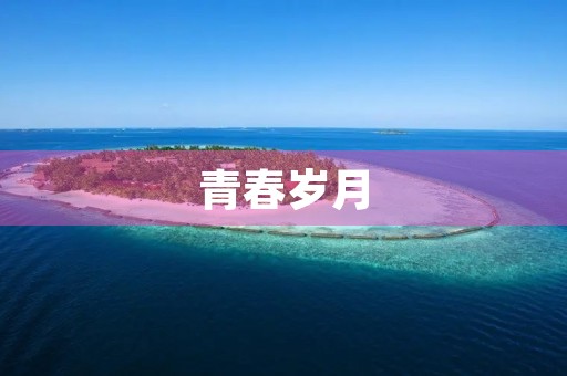 青春岁月,璀璨无比 青春岁月,璀璨无比