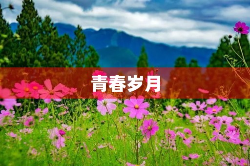 青春岁月,经典抒情散文 青春岁月,经典抒情散文
