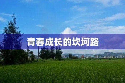 青春成长的坎坷路