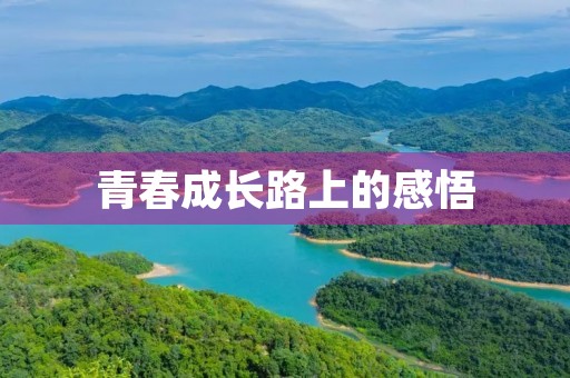 青春成长路上的感悟 青春成长路上的感悟