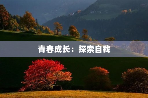 青春成长：探索自我，追寻梦想