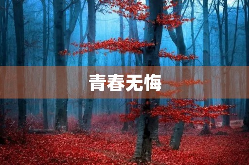 青春无悔