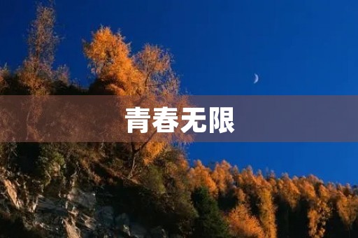 青春无限,梦想无边 青春无限,梦想无边