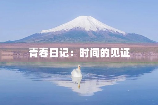 青春日记:时间的见证 青春日记:时间的见证