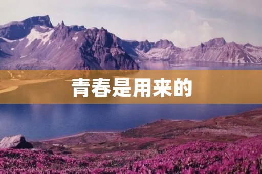青春是用来的