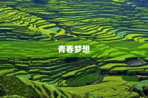 青春梦想,未来无限 青春梦想,未来无限