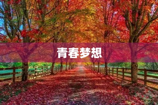 青春梦想，砥砺前行