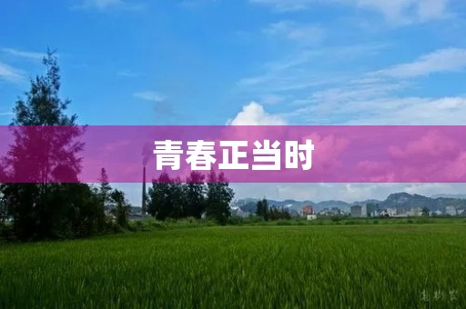 青春正当时,联手创未来 青春正当时,联手创未来