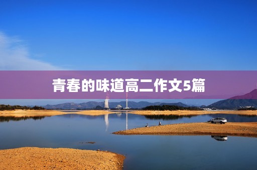 青春的味道高二作文5篇
