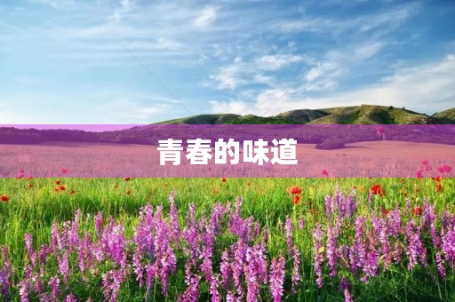 青春的味道