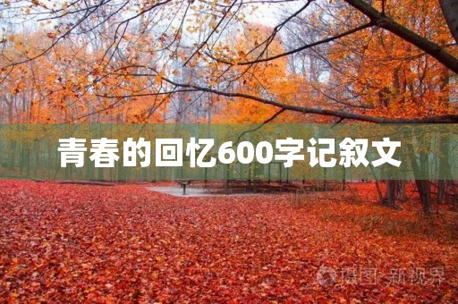 青春的回忆600字记叙文