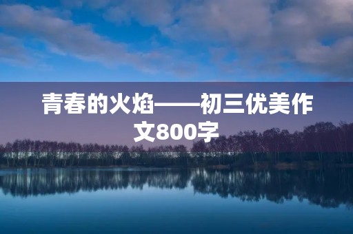 青春的火焰——初三优美作文800字
