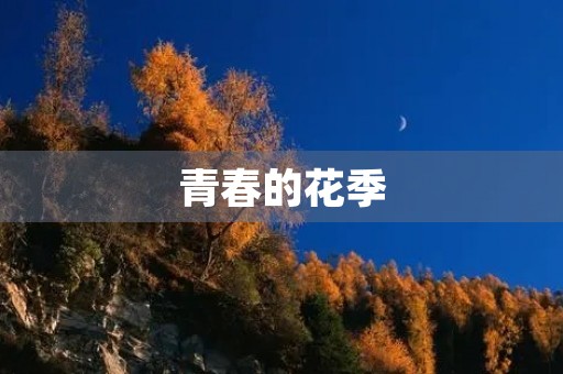 青春的花季,怎能辜负? 青春的花季,怎能辜负?