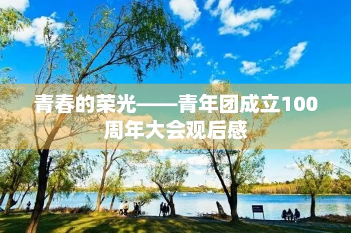 青春的荣光——青年团成立100周年大会观后感