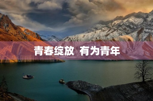 青春绽放  有为青年
