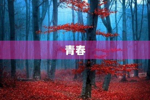 青春,你还在吗? 青春,你还在吗?