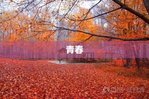 青春，让我们一起追梦