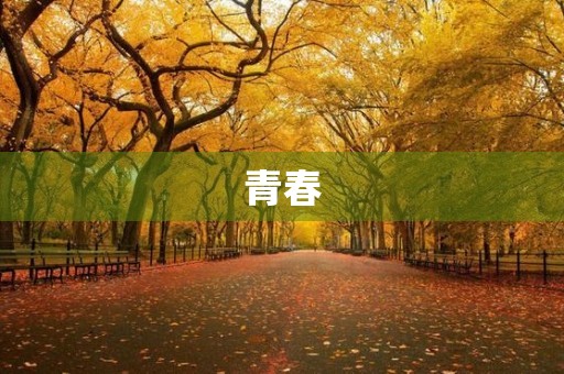 青春，让我们怀揣梦想前行