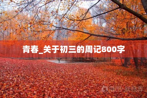 青春_关于初三的周记800字 青春_关于初三的周记800字