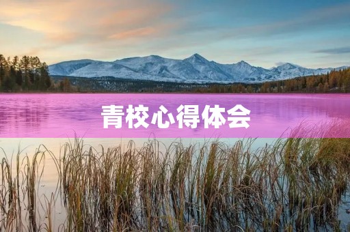 青校心得体会