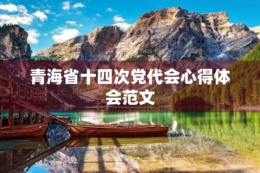 青海省十四次党代会心得体会范文
