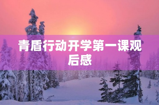 青盾行动开学第一课观后感 青盾行动开学第一课观后感