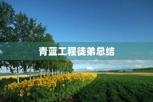青蓝工程徒弟总结