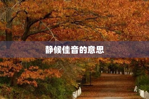 静候佳音的意思(静候佳音)