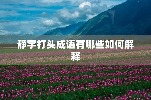 静字打头成语有哪些如何解释