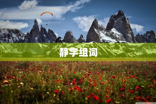 静字组词(静组词)