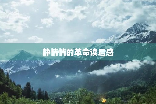 静悄悄的革命读后感