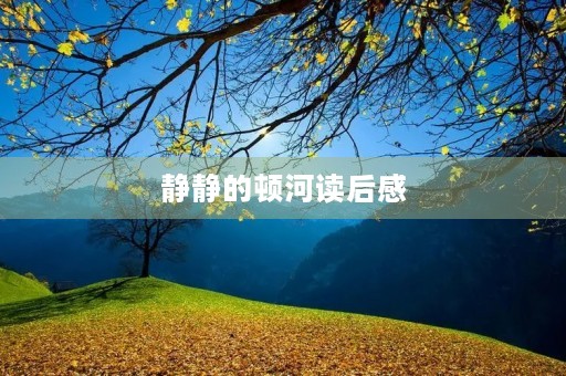 静静的顿河读后感