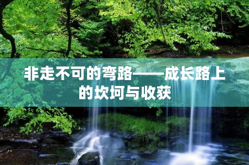 非走不可的弯路——成长路上的坎坷与收获