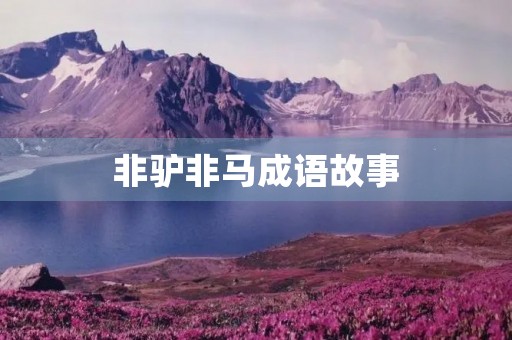 非驴非马成语故事 非驴非马成语故事